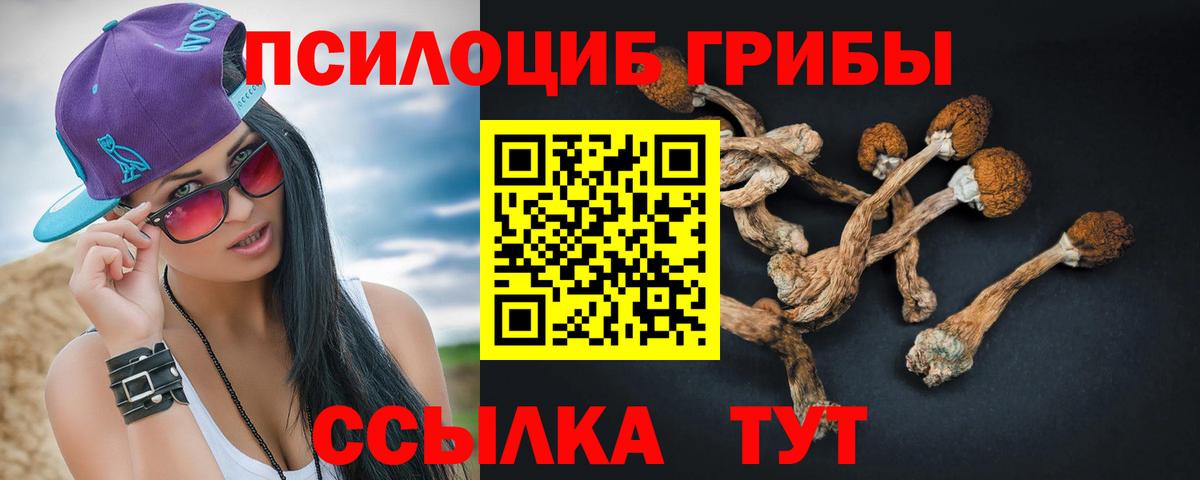 Галлюциногенные грибы Magic Shrooms  Вход с VPN  Галлюциногенные грибы Cubensis  Трёхгорный 